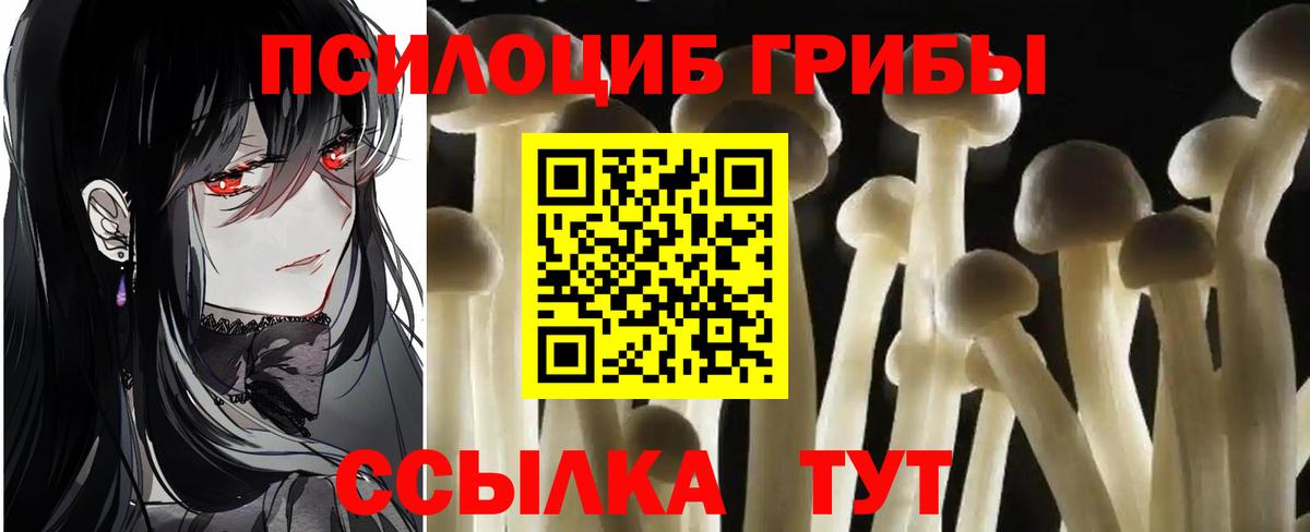 Камень-на-Оби  Галлюциногенные грибы Magic Shrooms  Галлюциногенные грибы Cubensis  Вход с VPN 